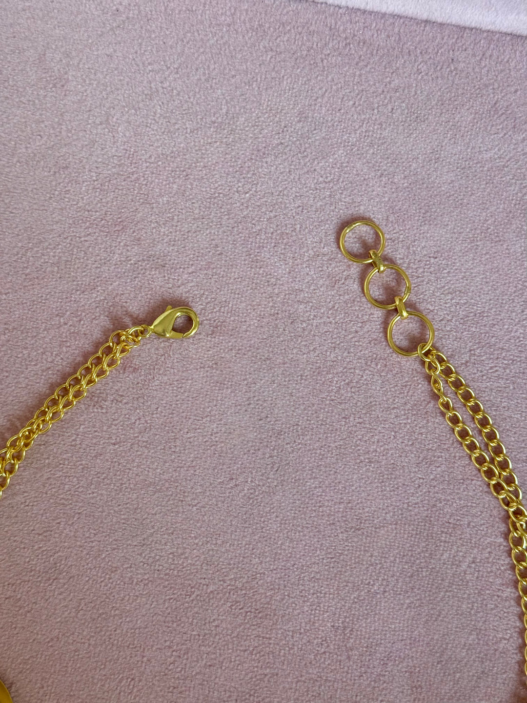 Carnelian Pod Gold-Tone Choker Necklace