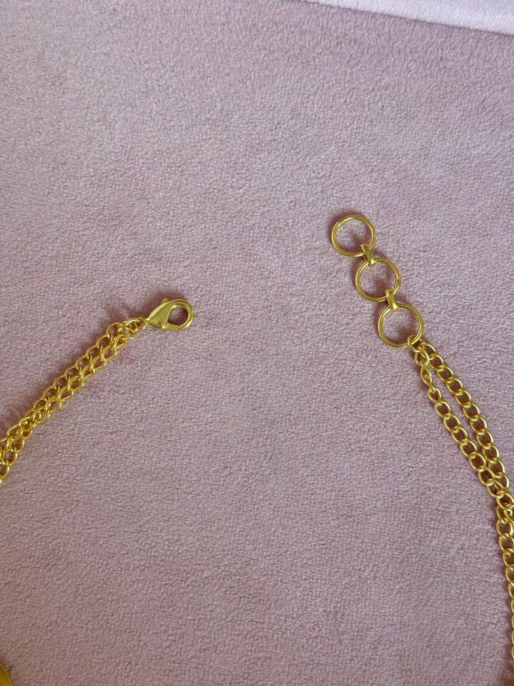 Carnelian Pod Gold-Tone Choker Necklace