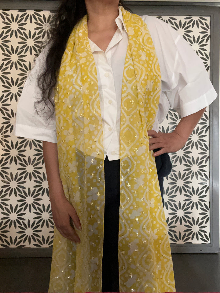 Shivka Georgette Stole