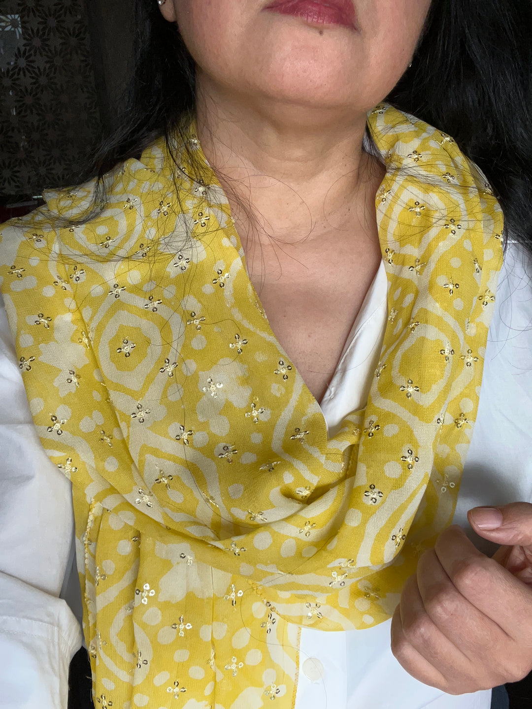 Shivka Georgette Stole