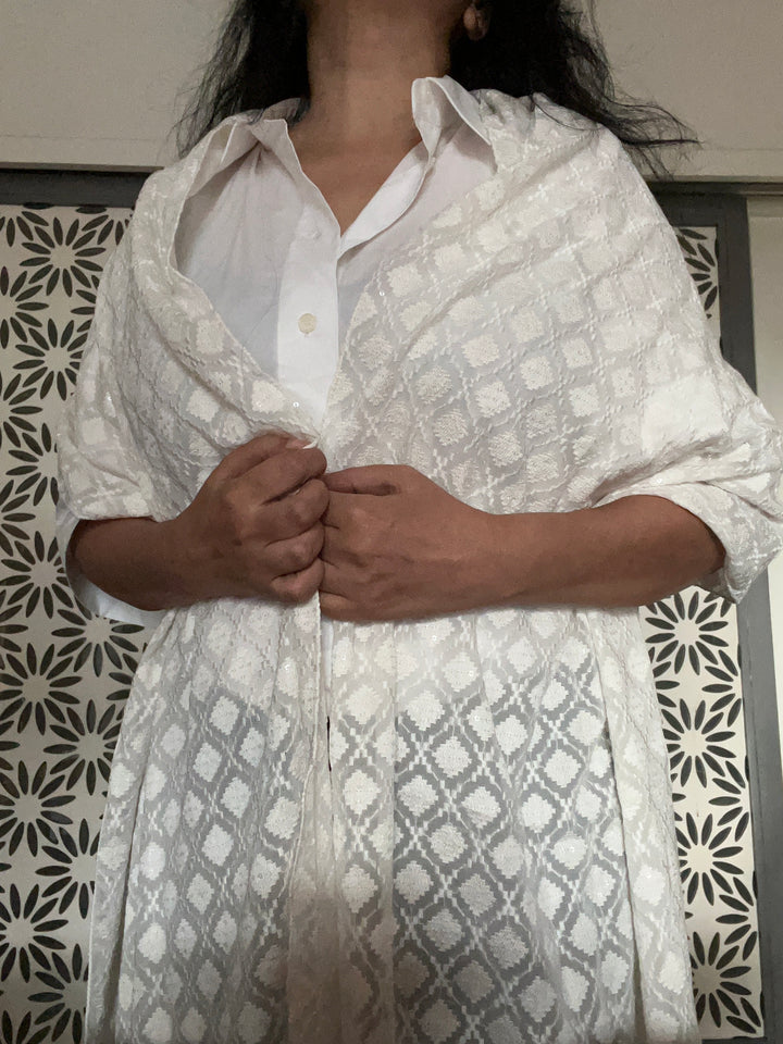 Shivka Georgette Stole