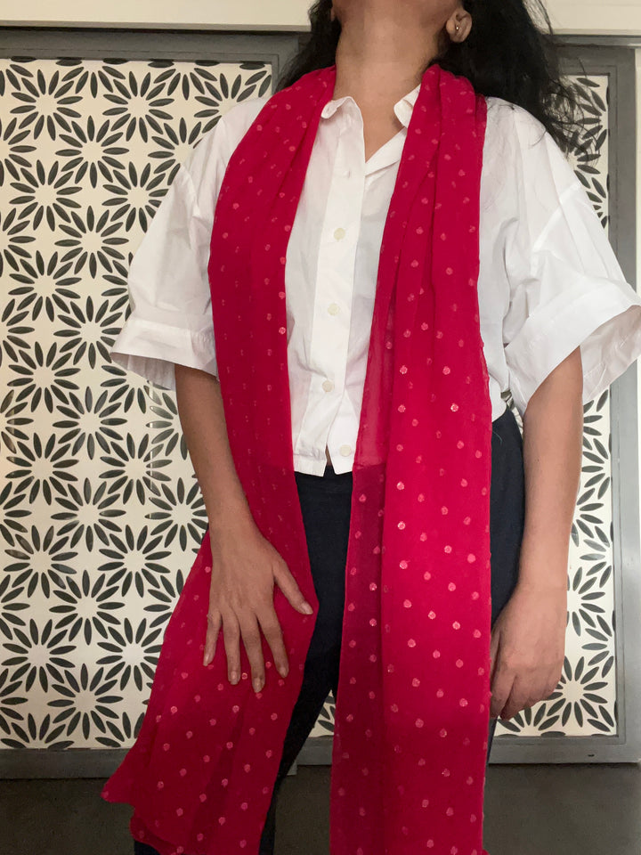 Shivka Georgette Stole