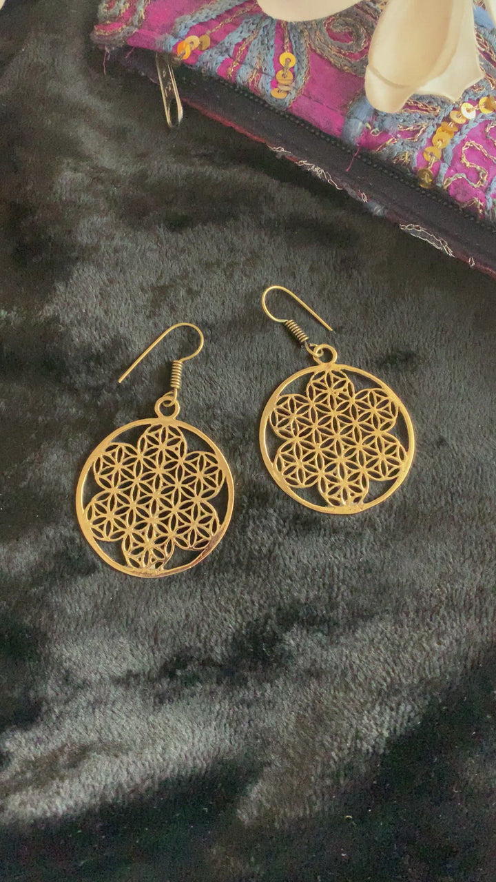 Mesh Hoop Danglers