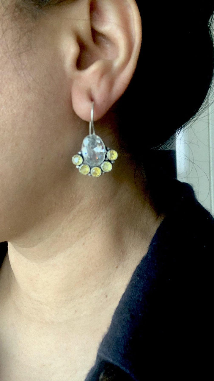 Pretty Stone Earrings - SHIVKA