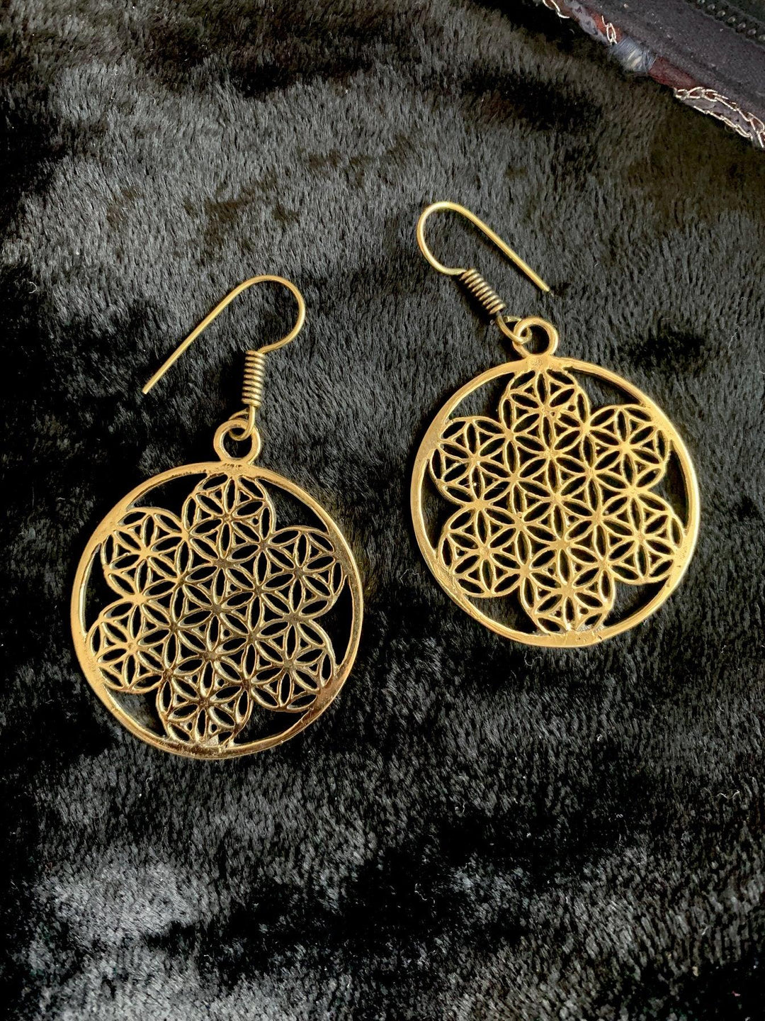 Mesh Hoop Danglers - SHIVKA